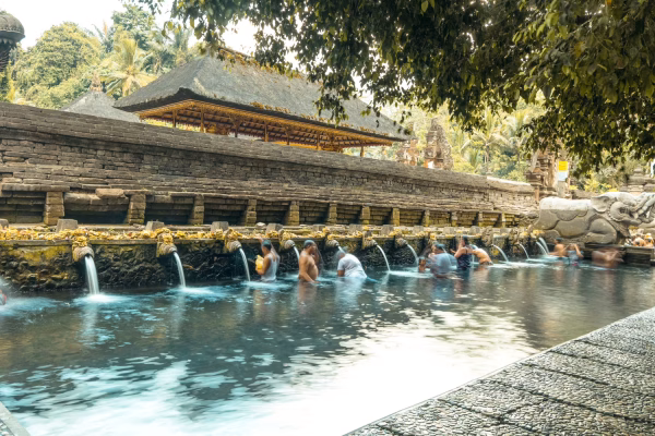 Best of Ubud Tour with Jungle Swing